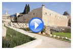 Видео: Юго-западный угол Храмовой горы