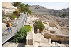 Южнее ворот пророчицы Хульды и далее на восток находятся развалины общественного здания периода Омейядов