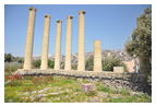 Храм Афины: восстановленные колонны