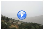 Видео: Берег Тивериадского озера в окресностях Гадары