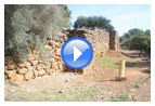 Видео: Стены железного века в Тель Дане