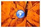 Видео: Хасмонейский акведук