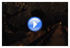 Видео: Протоиерей Александр Тимофеев рассказывает о подземном туннеле в Мегиддо