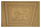 Напольная мозаика, изображающая льва, опирающегося лапой на бычью голову. 3-й дом западной инсулы