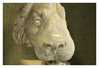 Скульптурное изображение льва -экспонат музея Бергама