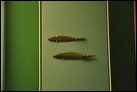Бронзовые наконечники стрел. Ханаан, XI в. до Р.Х. Британский музей. WA 136753, 140865. Один наконечников надписан по-финикийски: "Стрела Ады, сына Бала"; второй: "Стрела Йишба, сына Абд-йихнада".