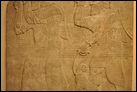 Носители дани. Нимруд, ок. 865-860 гг. до Р.Х. Британский музей. ME 124562. В настоящей композиции, которая располагалась в тронном зале, изображены двое из группы носителей дани. Первый с тюрбаном, который использовался в северо-западной части Сирии, поднимает вверх сжатые в кулак руки в знак повиновения. Второй, который может быть финикийцем, держит пару обезьян. Ассирийские цари получали удовольствие от коллекционирования экзотических животных.