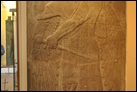 Дух-хранитель. Нимруд, ок. 865-860 гг. до Р.Х. Британский музей. WA 124530. Этот четырехкрылый дух, держащий скипетр, охранял одну из дверей, ведущих в царский тронный зал.