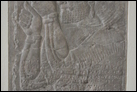 Рельефы дворца. Алебастр, Нимруд, 883-859 гг. до Р.Х. Берлинский музей Пергамон. Инв. номер не указан в экспозиции музея.