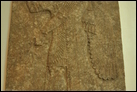 Дух-хранитель. Нимруд, ок. 865-860 гг. до Р.Х. Британский музей. ANE 124574. Другие части этой панели находятся в музее принца Уэльса в Бомбее и в музее в Ираке.
