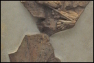 Царь убивает льва. Глина, Ниневия, 660-640 гг. до Р.Х. Британский музей. ME 93011. На рельефе изображено, как царь убивает льва копьём.