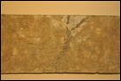 Два духа-хранителя со священным деревом. Нимруд, ок. 865-860 гг. до Р.Х. Британский музей. WA 124580.