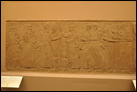 Возлияние. Нимруд, ок. 865-860 гг. до Р.Х. Британский музей. WA 124535. Царь Ашшурнацирпал  после охоты, изображенной ранее, возливает вино на мертвого льва. Царь окружен царедворцами и придворными слугами, а два музыканта играют на горизонтальных арфах.
