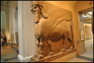 Крылатый бык с человеческой головой. Нимруд, ок. 865-860 гг. до Р.Х. Британский музей. WA 118872.