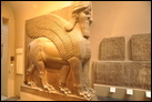 Крылатый бык с человеческой головой. Нимруд, ок. 865-860 гг. до Р.Х. Британский музей. WA 118873.