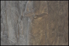 Бассейн. Базальт, Ассирия, 704-681 гг. до Р.Х. Берлинский музей Пергамон. Инв. номер не указан в экспозиции музея.
