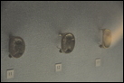 Перстень с изображением Арсинои III (246-204 гг. до Р.Х.).  Бронза. Северное Причерноморье (?). III в. до Р.Х. Эрмитаж. ГР-28386 (В.2886).