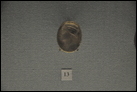Перстень с изображением Береники II (267-221 гг. до Р.Х.). Бронза. Северное Причерноморье (?). III в. до Р.Х. Эрмитаж. ГР-28414 (В.2908).