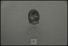 Перстень с изображением Арсинои III (246-204 гг. до Р.Х.). Бронза. Северное Причерноморье (?). III в. до Р.Х. Эрмитаж. ГР-28416 (В.2910).